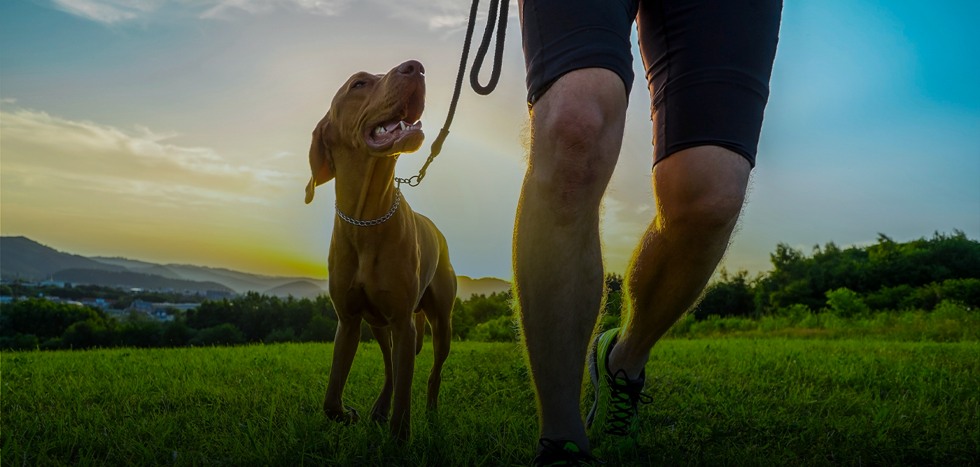 Nuôi chó khỏe mạnh cùng Chuyên gia