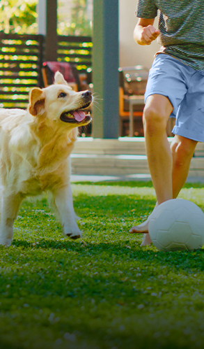 NexGard - Nuôi chó khỏe mạnh cùng Chuyên gia