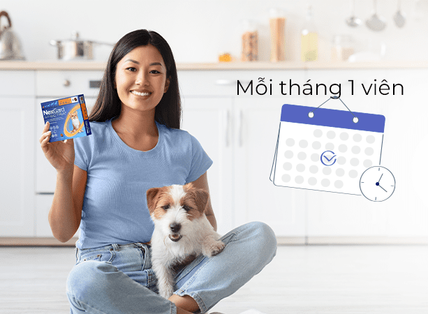 Bước 3: Sử dụng định kỳ mỗi tháng 1 viên NexGard SPECTRA để duy trì hiệu quả bảo vệ toàn diện cho chó