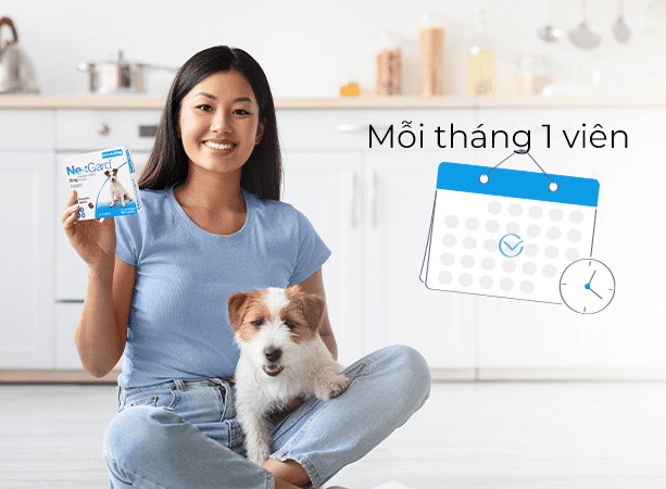 Bước 3: Sử dụng định kỳ mỗi tháng 1 viên NexGard để duy trì hiệu quả bảo vệ