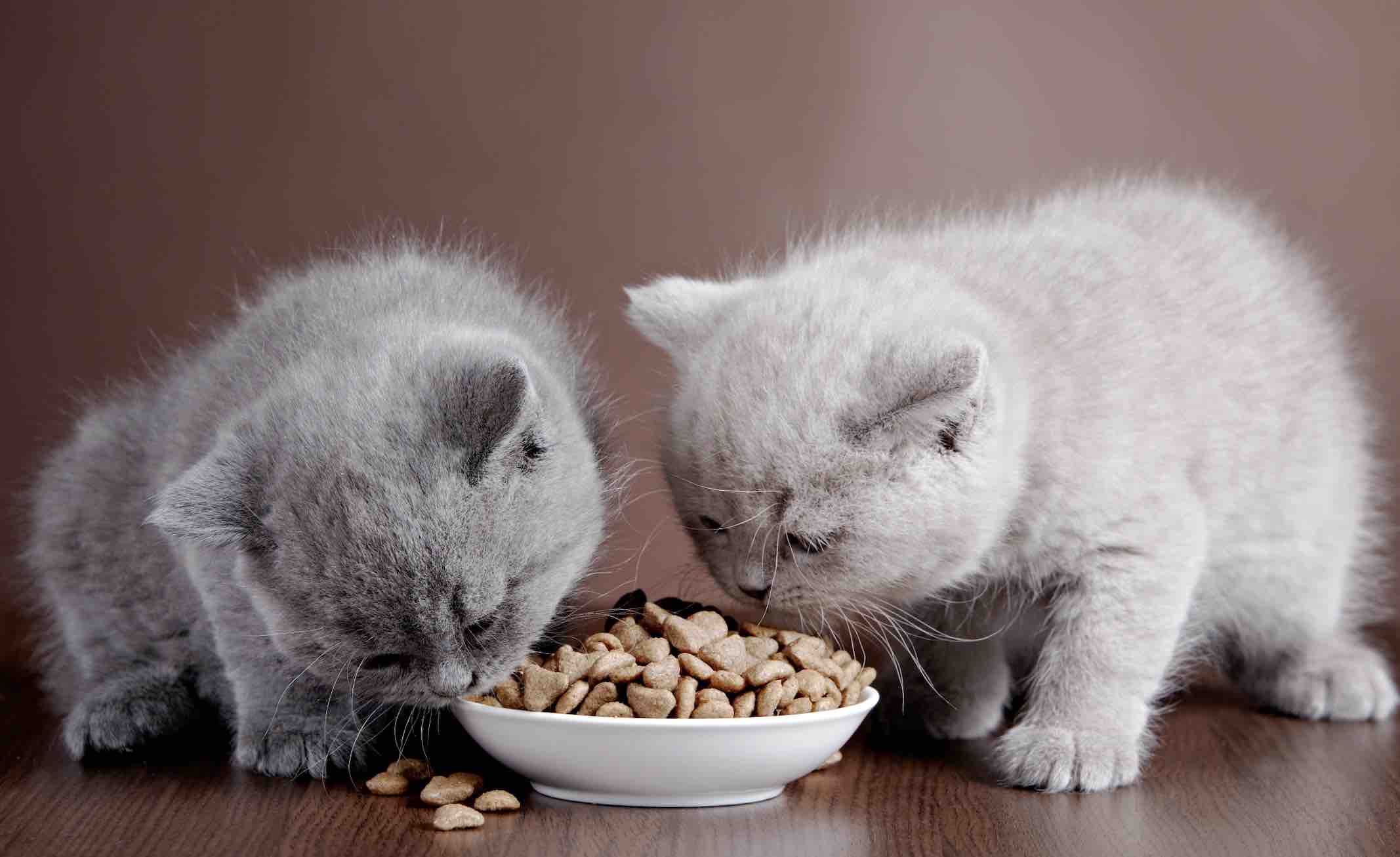 Tạo điều kiện để bé làm quen với môi trường mới