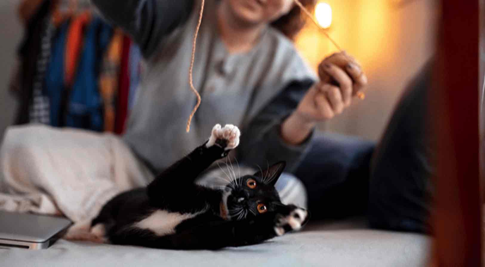 Chơi đùa đúng cách để được hoàng thượng “sủng ái”