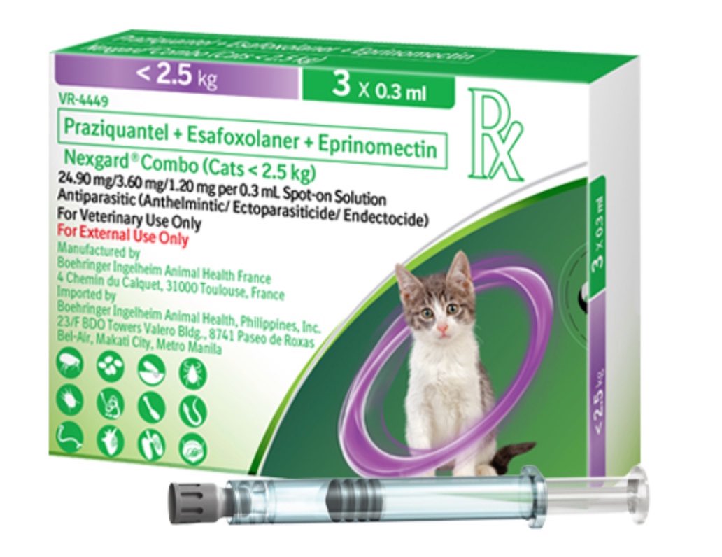 Cách xử lý khi mèo rụng lông