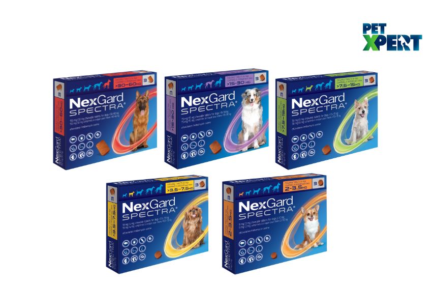 NexGard SPECTRA