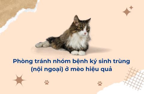 Nhóm. bệnh cho ký sinh trùng (nội ngoại)